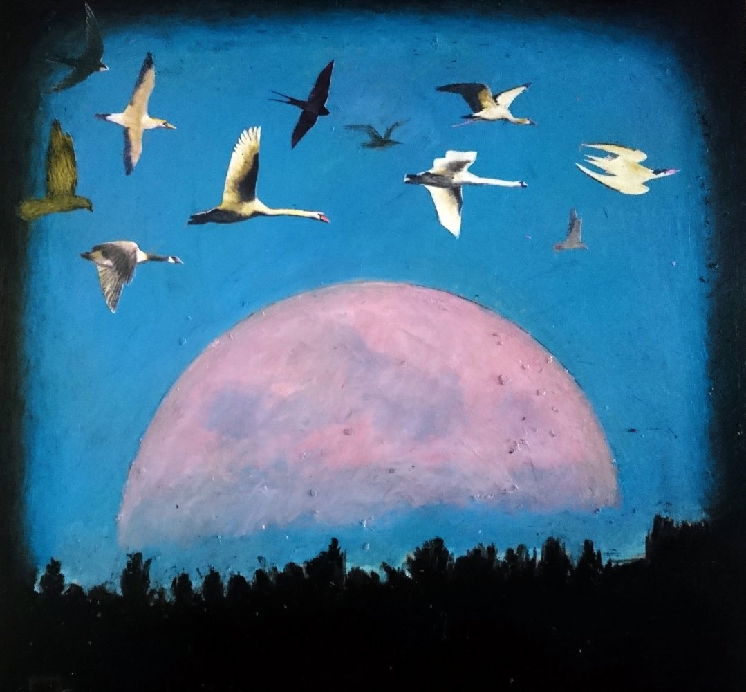 Liekie Fouche - Super Moon